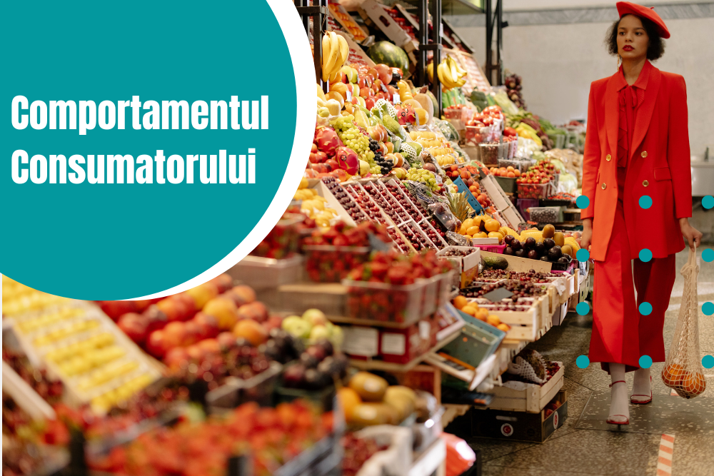 Profil Marketing - Comportamentul consumatorului